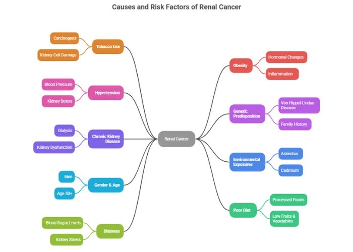 Causes of Renal Cancer